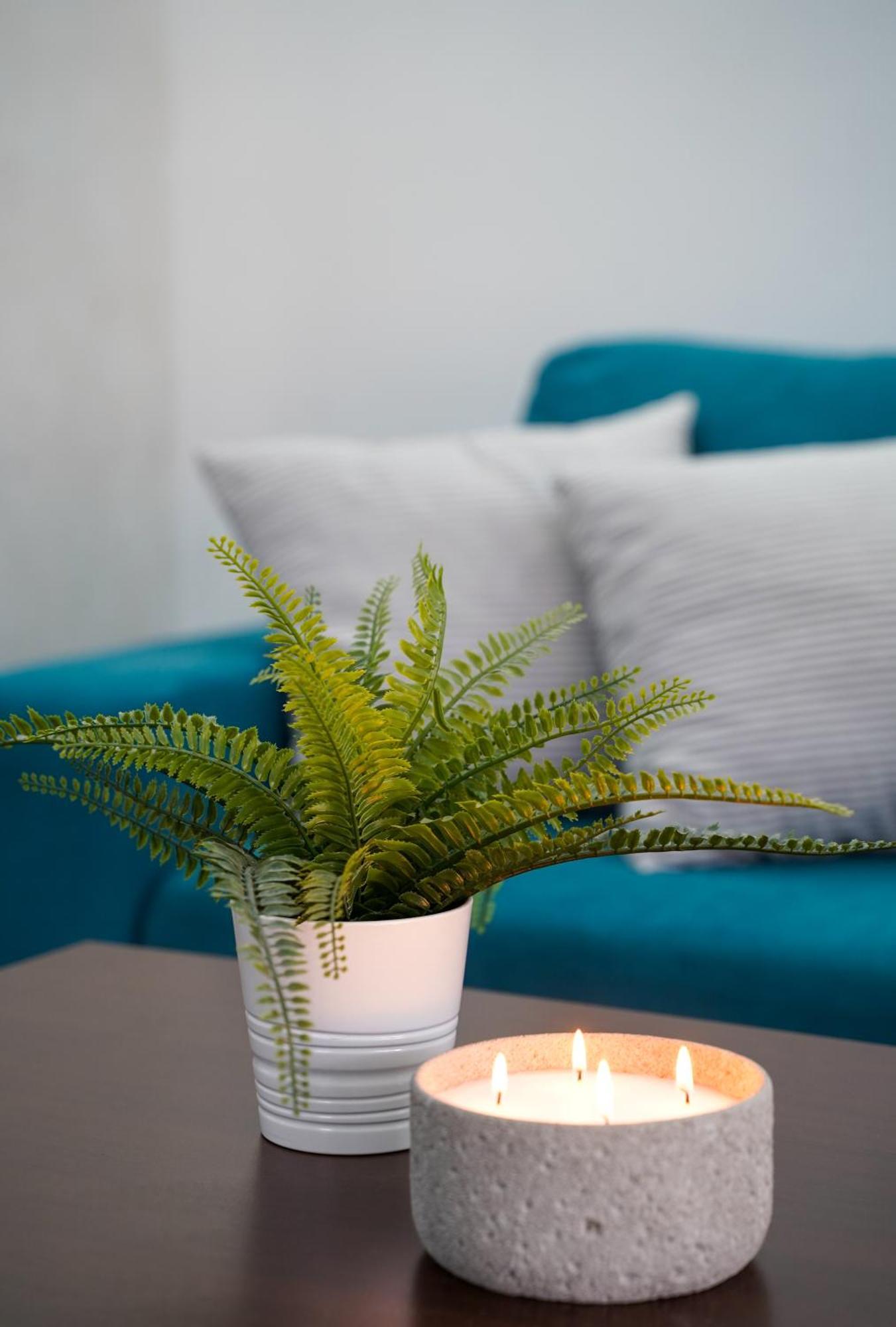 Gardenlux Vrdnik Διαμέρισμα Εξωτερικό φωτογραφία