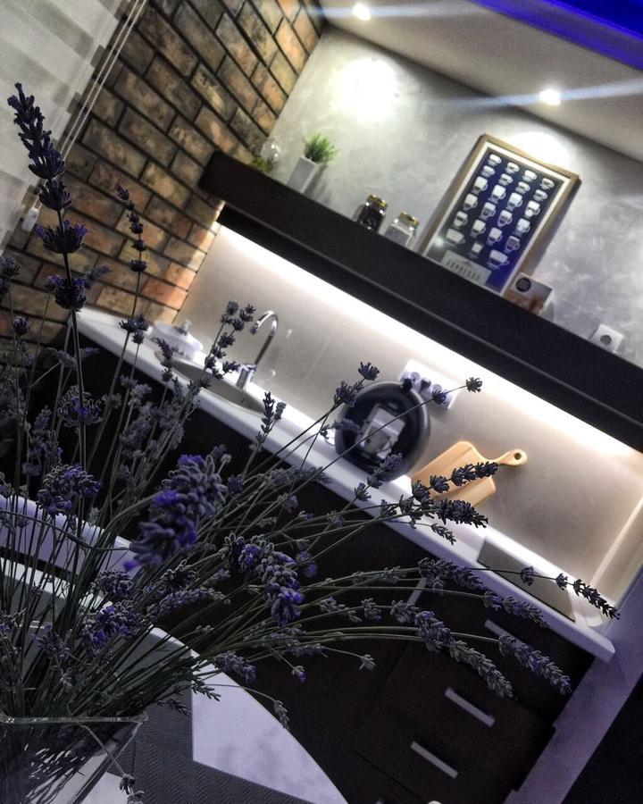 Gardenlux Vrdnik Διαμέρισμα Εξωτερικό φωτογραφία