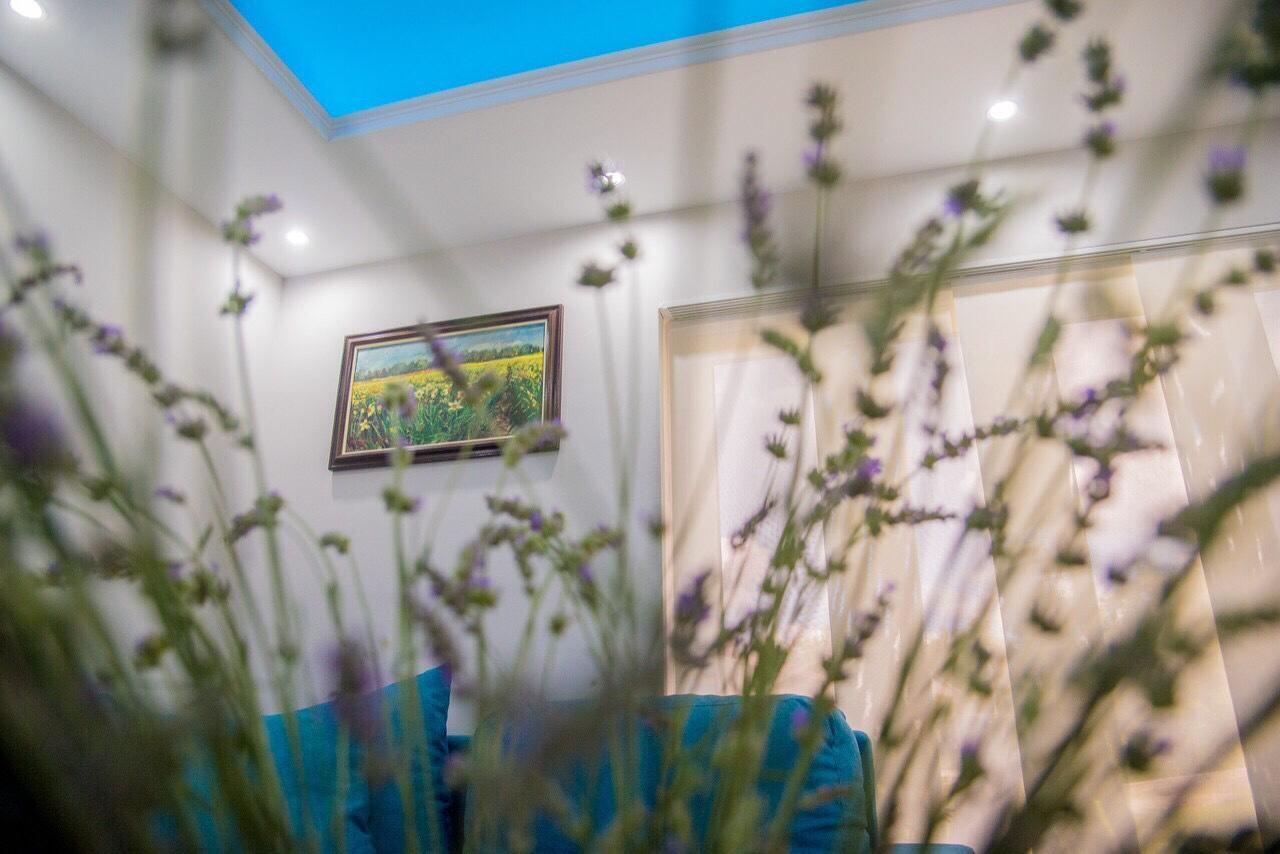 Gardenlux Vrdnik Διαμέρισμα Εξωτερικό φωτογραφία